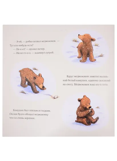 Весна медвежонка - фото 3
