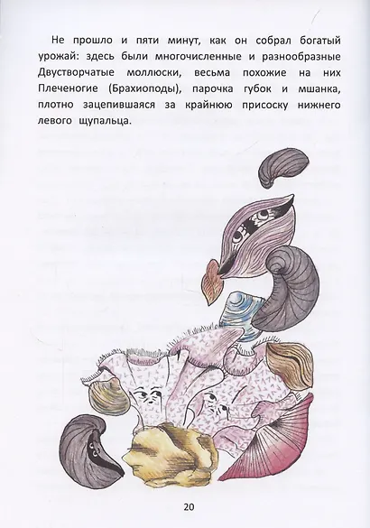 Палеосказка (из жизни меловых беспозвоночных) - фото 5