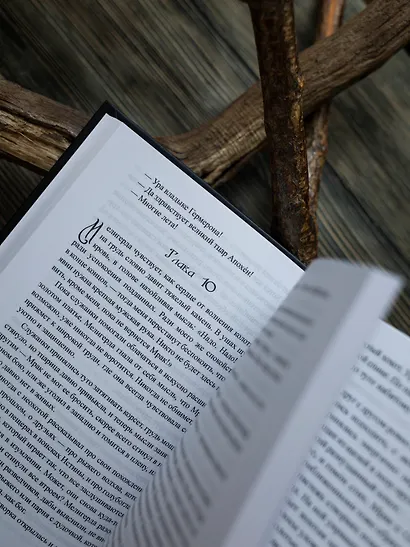 Трое и Атлантида - фото 12