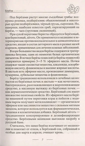 Лечение деревьями. 500 рецептов от 100 недугов - фото 7