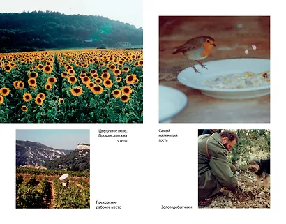 Мои двадцать пять лет в Провансе - фото 3