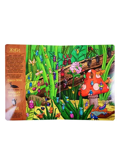 книги на картоне МАКСИ 235х310 7 разворотов. В мире букашек - фото 5