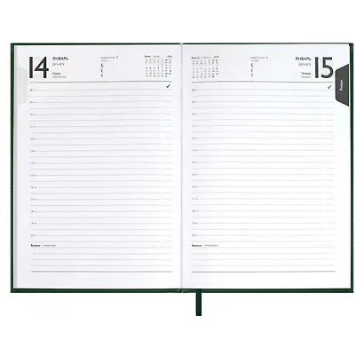 Ежедневник дат. 2026г. А5 176л "Наппа" зеленый, кожзам, тв.переплет, обл.поролон, блинт.тиснение, офсет, справ.мат-лы, ляссе, инд.уп - фото 10