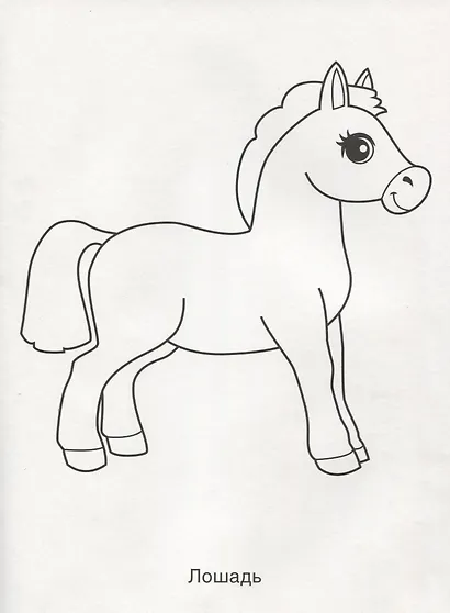 Домашние животные. Раскраска в папке - фото 4