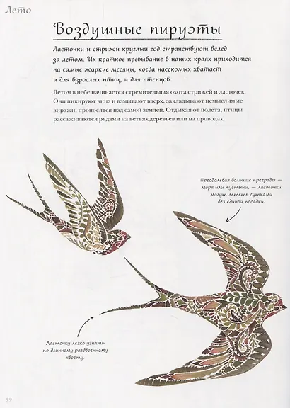 Год в лесу - фото 4