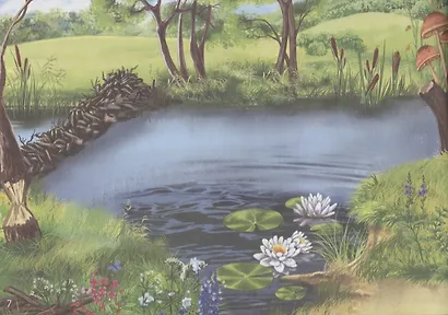 111 наклеек. Животные леса - фото 3