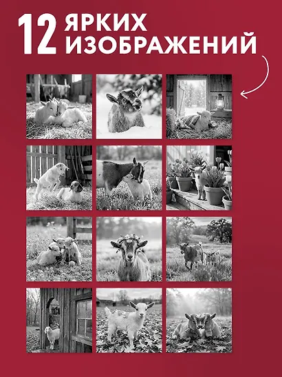 Уютные хранители счастья. Год огненной козы/овцы. Календарь настенный на 2027 год (300х300 мм) - фото 4