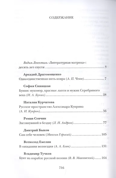 Литературная матрица: Учебник, написанный писателями. ХХ век - фото 2