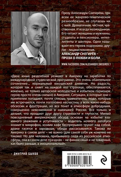 Как мы бомбили Америку - фото 2