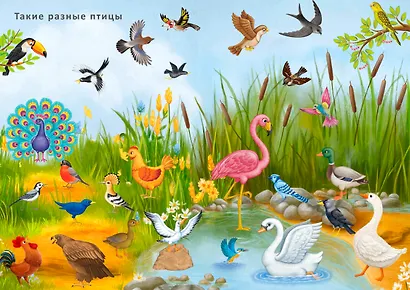 Книга с наклейками и заданиями "Такие разные животные" - фото 5