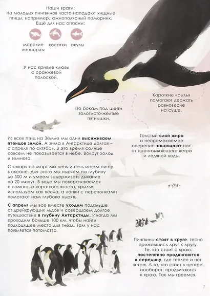 Лучшие родители - фото 6