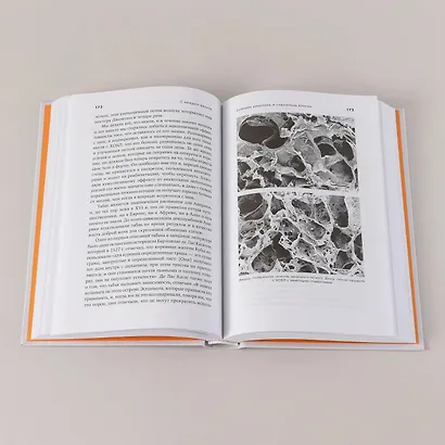С каждым вдохом: удивительная история наших легких - фото 14