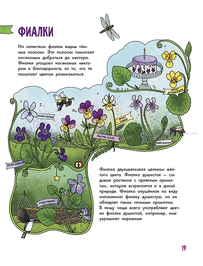 Цветы и растения - фото 7