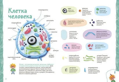Пластилиновая лаборатория Чевостика 2 - фото 8