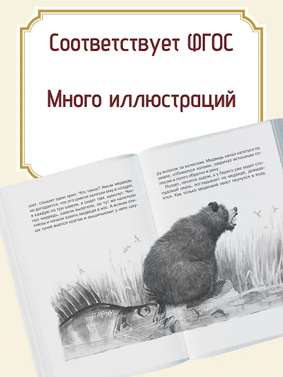 Кот-ворюга. Рассказы и сказки - фото 5