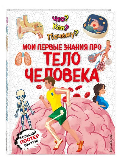 Что? Как? Почему? Мои первые знания про ТЕЛО ЧЕЛОВЕКА (с постером) - фото 3