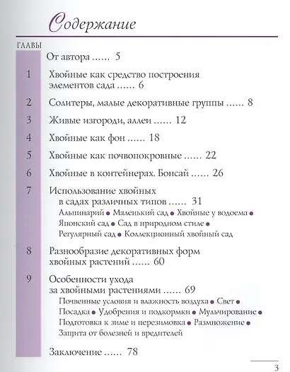 Хвойные в дизайне сада - фото 2