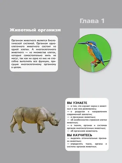 Биология. 8 класс. Учебник. Базовый уровень - фото 4