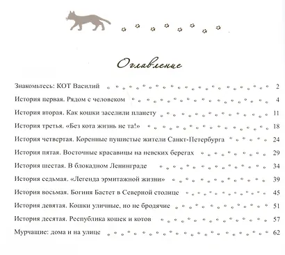 Коты стерегут город. Правдивая история эрмитажного кота Василия - фото 2