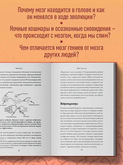 Мозг. Советы ученого, как по максимуму использовать самый совершенный в мире орган - фото 6