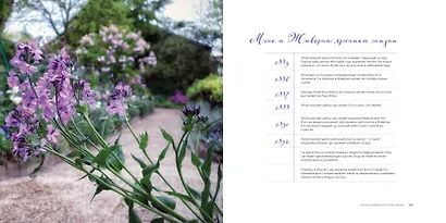 Клод Моне. Идеи импрессионизма для повседневной жизни - фото 7