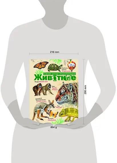 Животные - фото 3