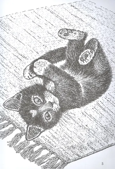 Долгая дорога домой - фото 5