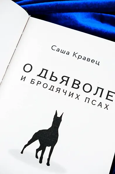 О дьяволе и бродячих псах - фото 7