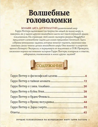 Лучшие головоломки по волшебному миру Гарри Поттера - фото 6