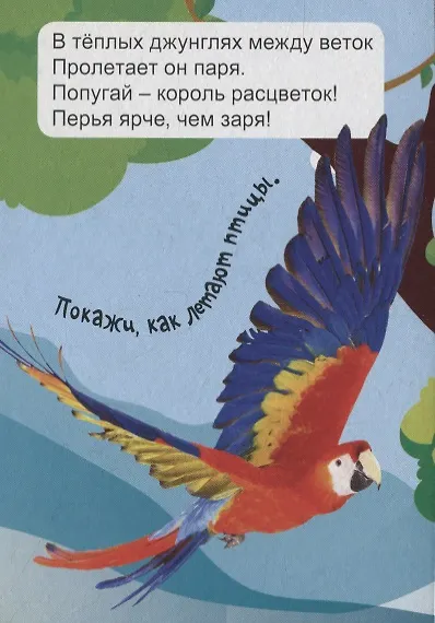 Животные джунглей - фото 3