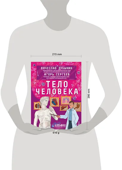 Тело человека - фото 14