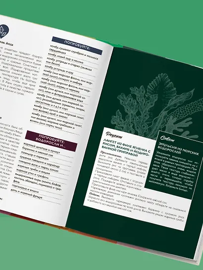 Алхимия вкуса. 1500 креативных вкусовых сочетаний и вдохновляющие рецепты - фото 12