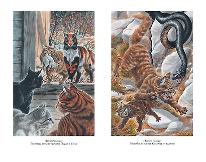 Длинные тени. Восход солнца - фото 12