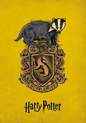 Блокнот. Пуфендуй - фото 1