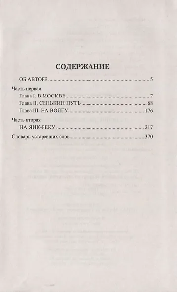 Гулящие люди. Медный бунт - фото 2