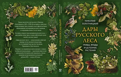 Дары русского леса. Грибы, ягоды и целительные растения - фото 2