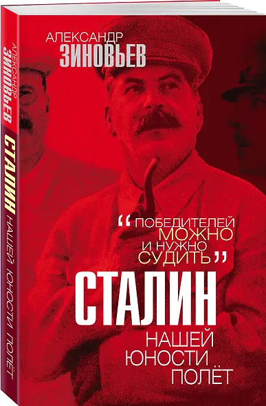 Сталин. Нашей юности полёт - фото 3