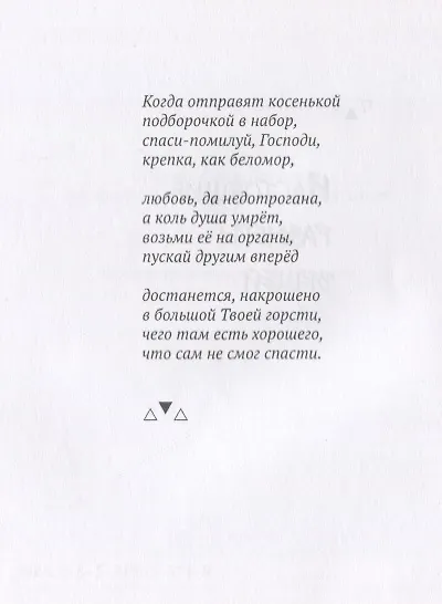 Пешеходная голубка - фото 4