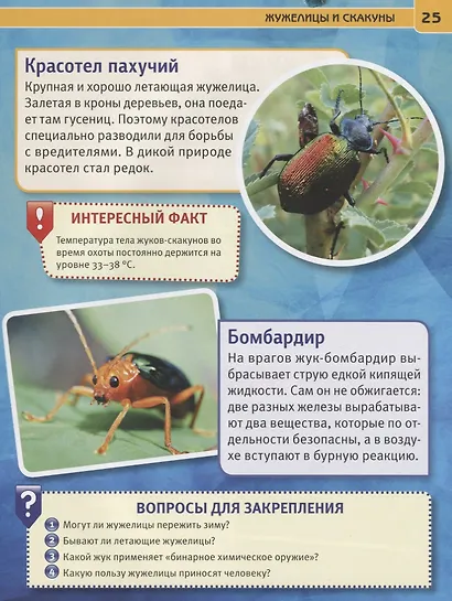 Пауки, жуки и улитки. Энциклопедия с развивающими заданиями - фото 3