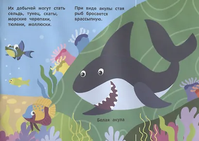 Кто под водой живет? - фото 5