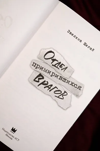 Отдел примирившихся врагов - фото 6