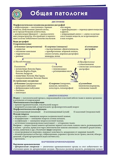 Общая патология - фото 3