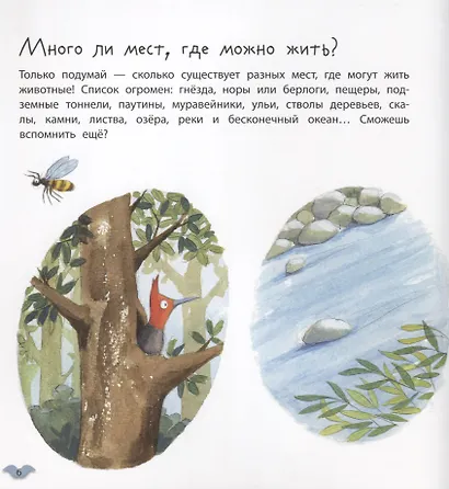 Где живут животные - фото 2