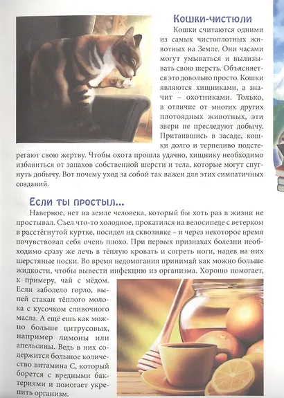ЭНЦИКЛОПЕДИЯ. В МИРЕ ЗНАНИЙ. ОБО ВСЁМ НА СВЕТЕ - фото 2