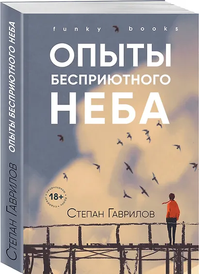Опыты бесприютного неба - фото 3