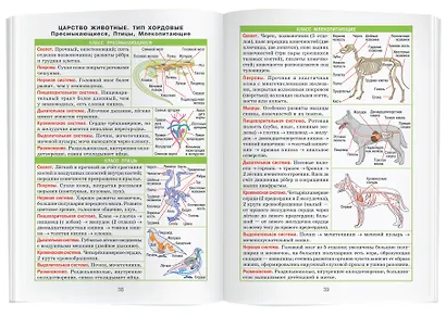 Биология. 7-11 класс. Справочник в таблицах - фото 6