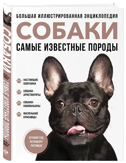 Самые известные породы. СОБАКИ. Большая иллюстрированная энциклопедия - фото 3