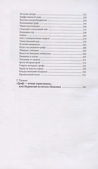 Парящий мститель - фото 7