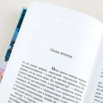 Посмотри, отвернись, посмотри - фото 9