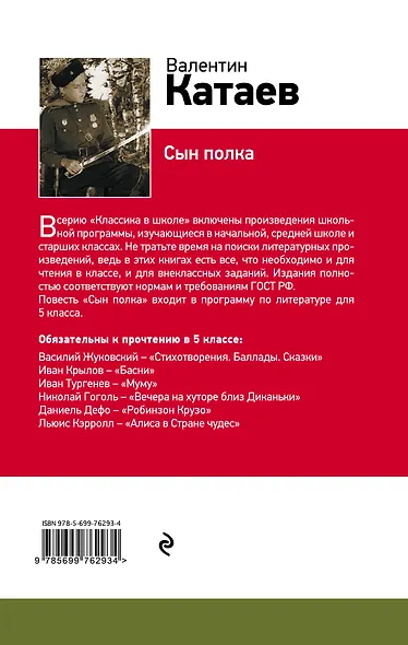 Сын полка - фото 2